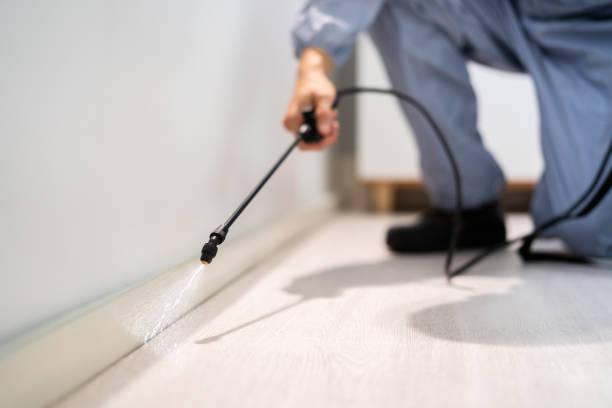 Best Flea Control Services  in Napavine, WA