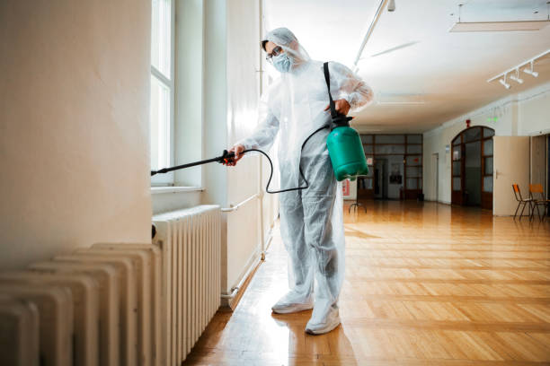 Best Termite Control Services  in Napavine, WA